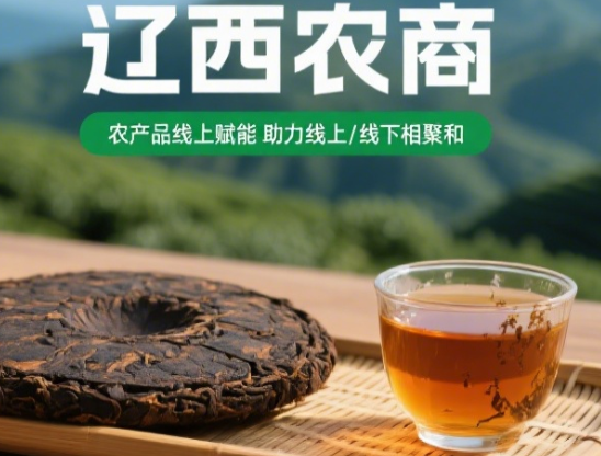 鄂南农商黑茶3年